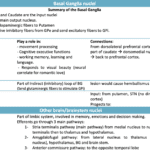 Basal ganglia table
